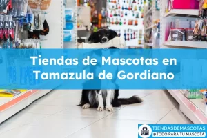 Tiendas de mascotas en Tamazula de Gordiano