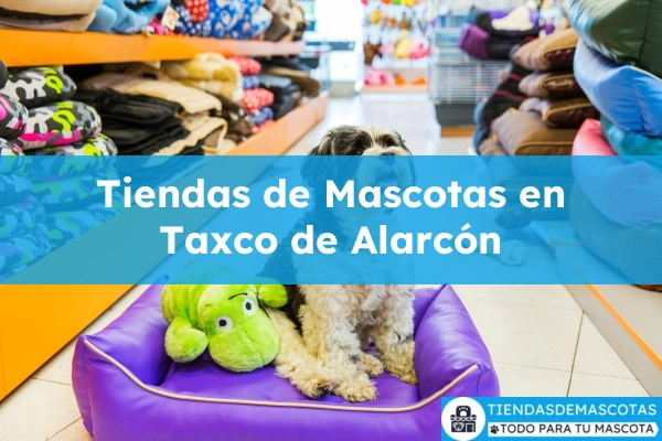 Tiendas de mascotas en Taxco de Alarcón