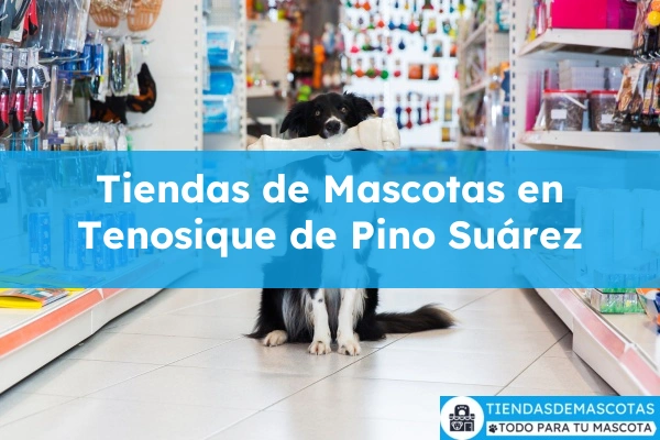 Tiendas de mascotas en Tenosique de Pino Suárez