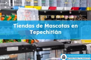 Tiendas de mascotas en Tepechitlán