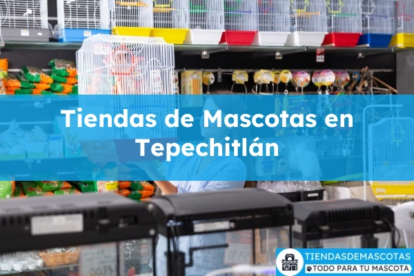 Tiendas de mascotas en Tepechitlán