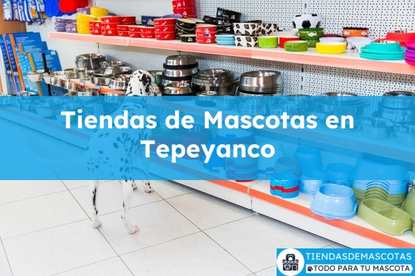 Tiendas de mascotas en Tepeyanco