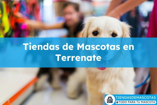 Tiendas de mascotas en Terrenate