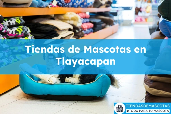 Tiendas de mascotas en Tlayacapan