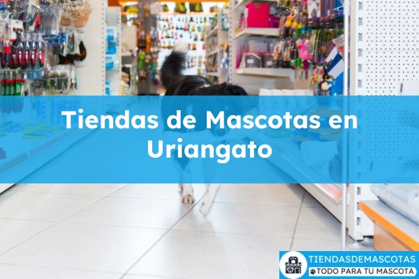 Tiendas de mascotas en Uriangato