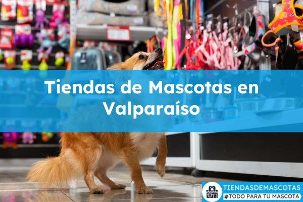 Tiendas de mascotas en Valparaíso