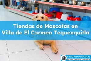 Tiendas de mascotas en Villa de El Carmen Tequexquitla