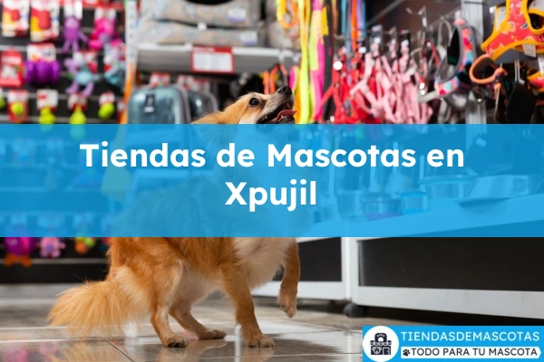 Tiendas de mascotas en Xpujil