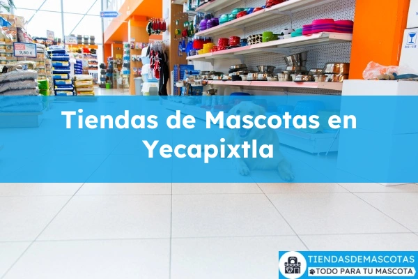 Tiendas de mascotas en Yecapixtla