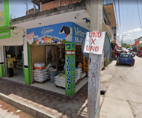 Interior Veterinaria San Judas Tadeo