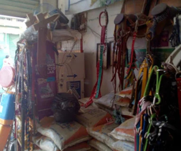 Productos para mascotas en Agroveterinaria El Pollito, Cintalapa, Chiapas.