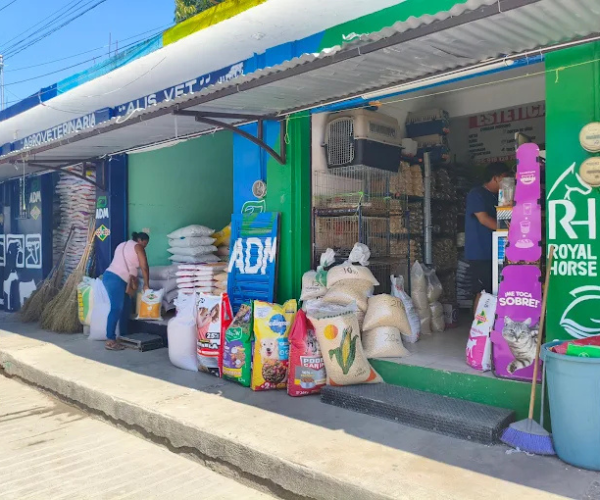 Estética Canina en Mapastepec, Chiapas.