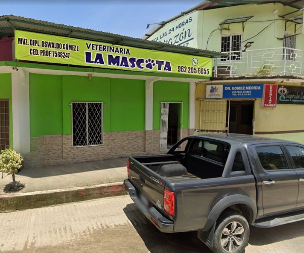 Tienda y cuidados veterinarios en Veterinaria La Mascota, Huixtla, Chiapas.
