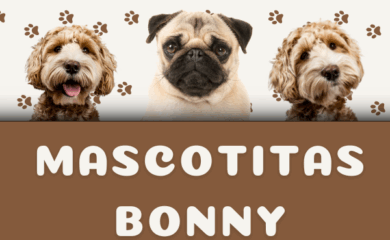 tienda de productos para mascotas MASCOTITAS BONNY